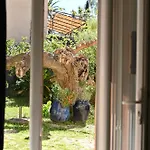 Légèreté Aux Mûriers *